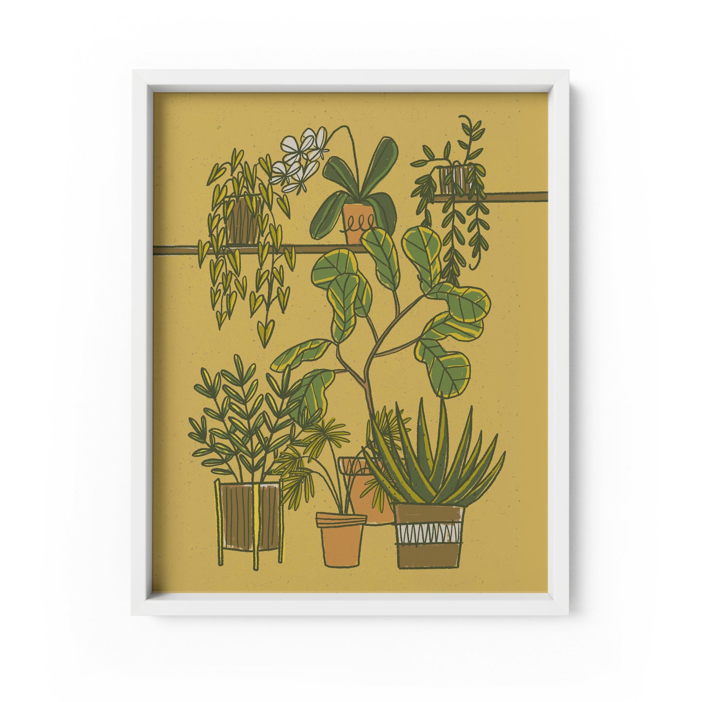 Indoor Plants Art Print