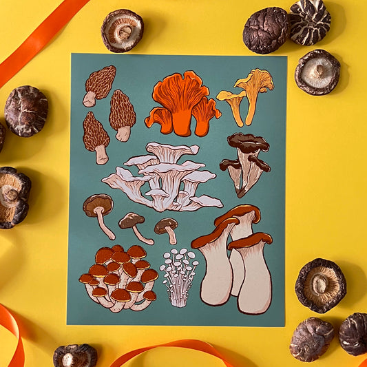 A dark turquoise art print displaying nine different kinds of mushrooms is on a yellow background with orange ribbon and dried mushrooms.