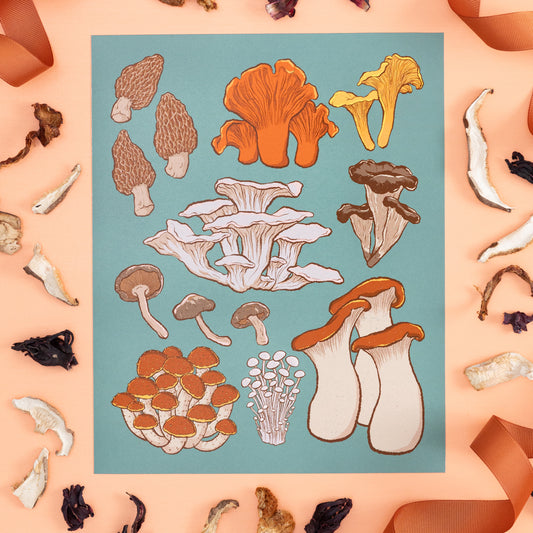 A dark turquoise art print displaying nine different kinds of mushrooms is on an orange background with brown ribbon and dried wild mushrooms.