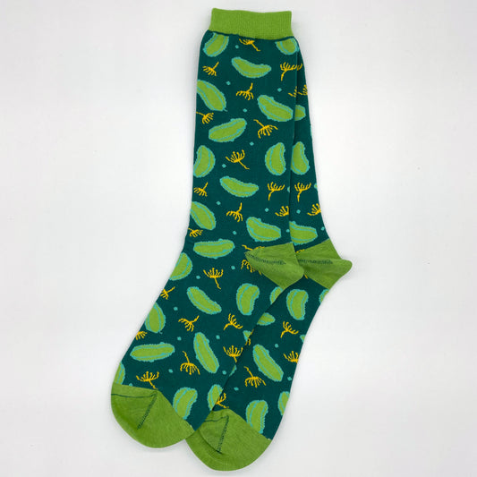 A pair of dill pickle patterned socks are laid flat against a white background. The welt, heel, and toe of each sock is light green.